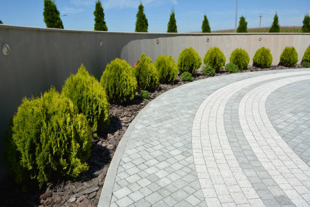 Reasons to Select Us for Your Driveway Paving Requirements in Diberville, MS
